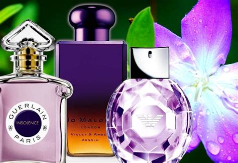 where to buy violet perfume.